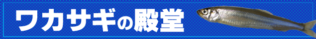 ���J�T�M,����,�ʔ�